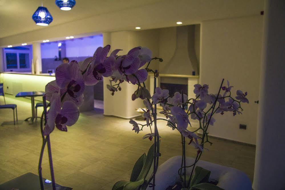 La Bella Trani - Suites And B&B Exteriér fotografie